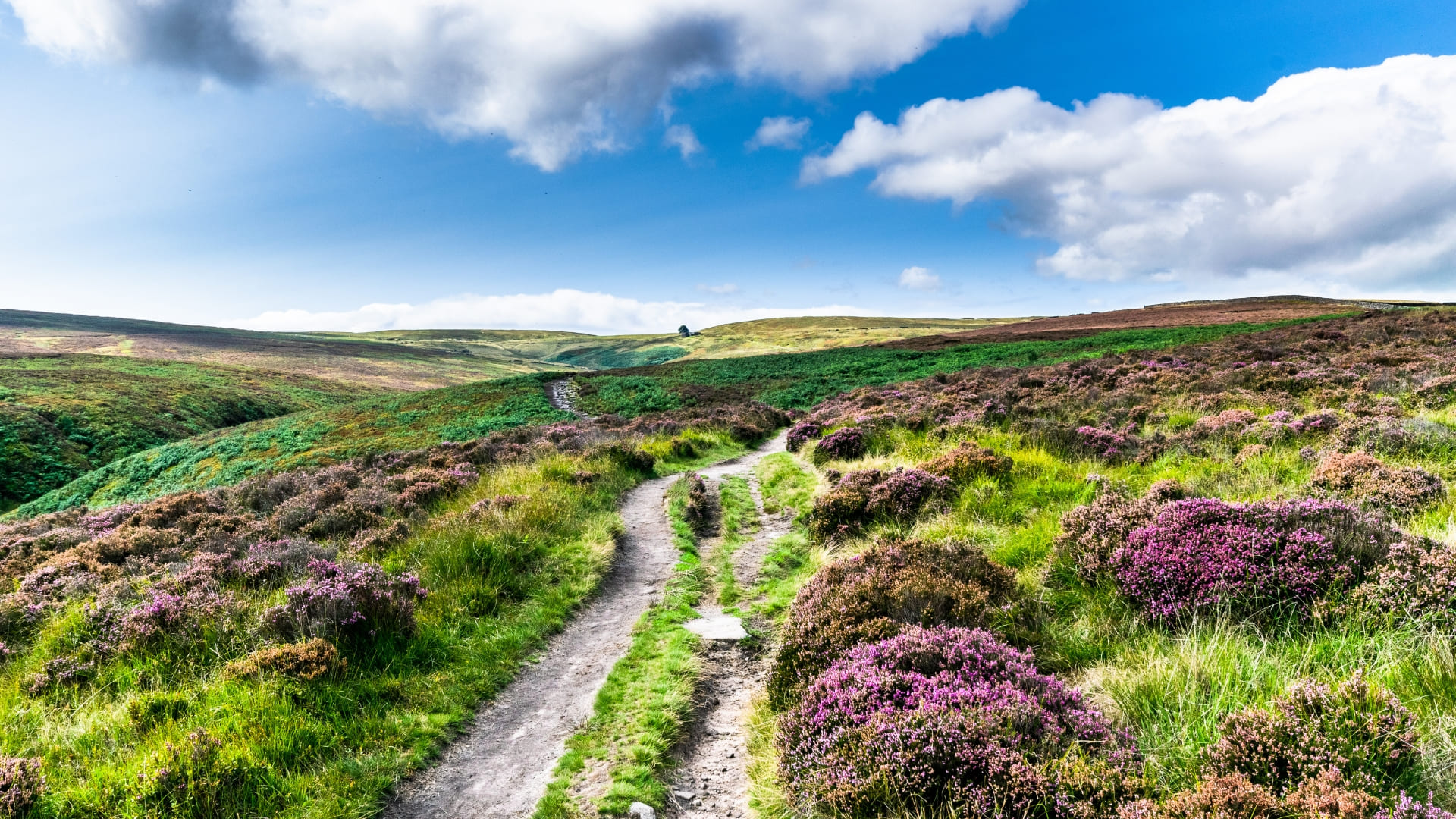 Coach holiday to Haworth